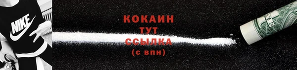 мдпв Вязьма
