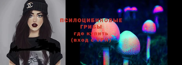 мдпв Вязьма