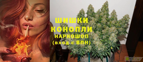 мдпв Вязьма